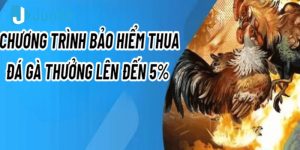 bao hiem thua da ga thuong len den 5 1