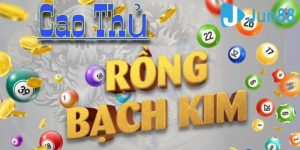 Thông tin giới thiệu chung về Rồng Bạch Kim đến anh em